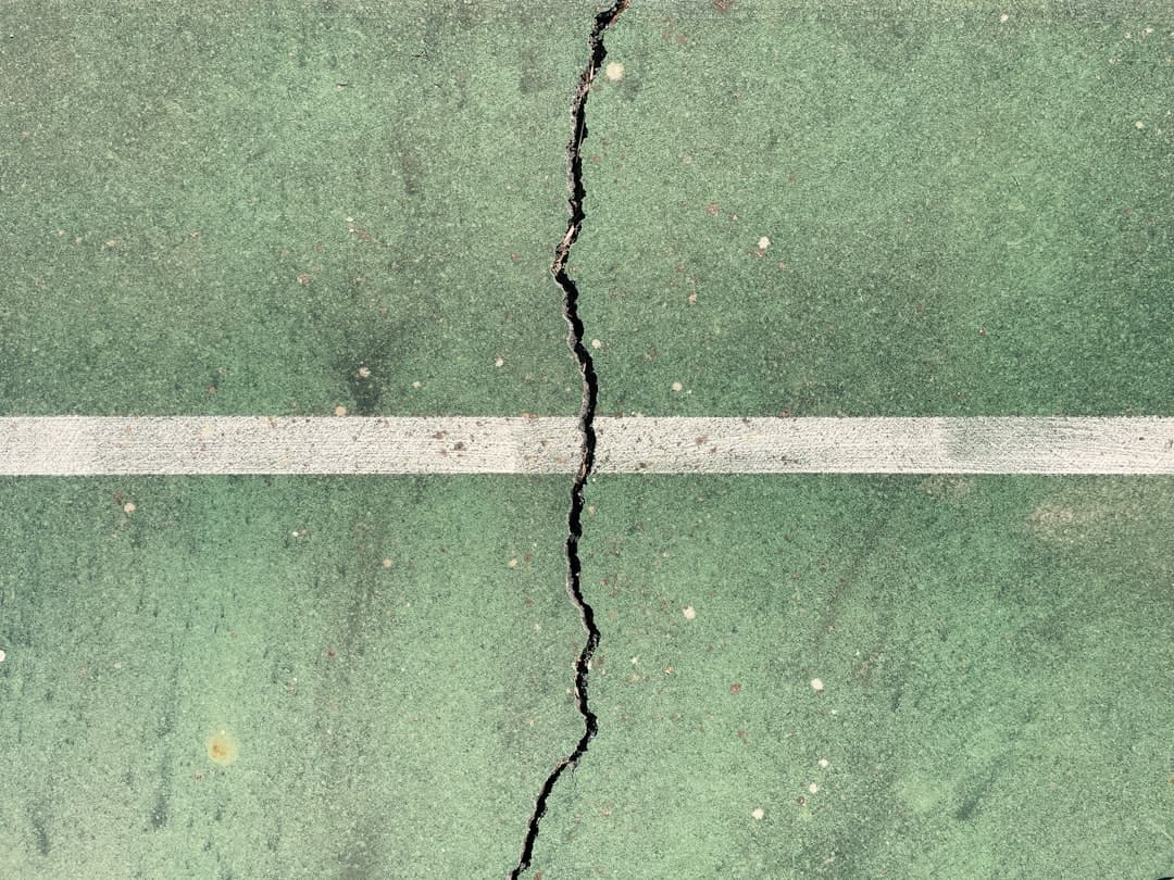 Why leaves split or crack