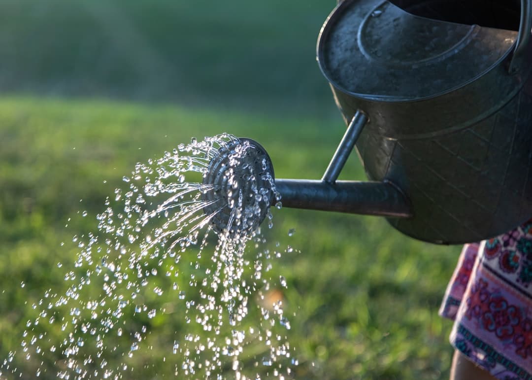 When watering does more harm than good
