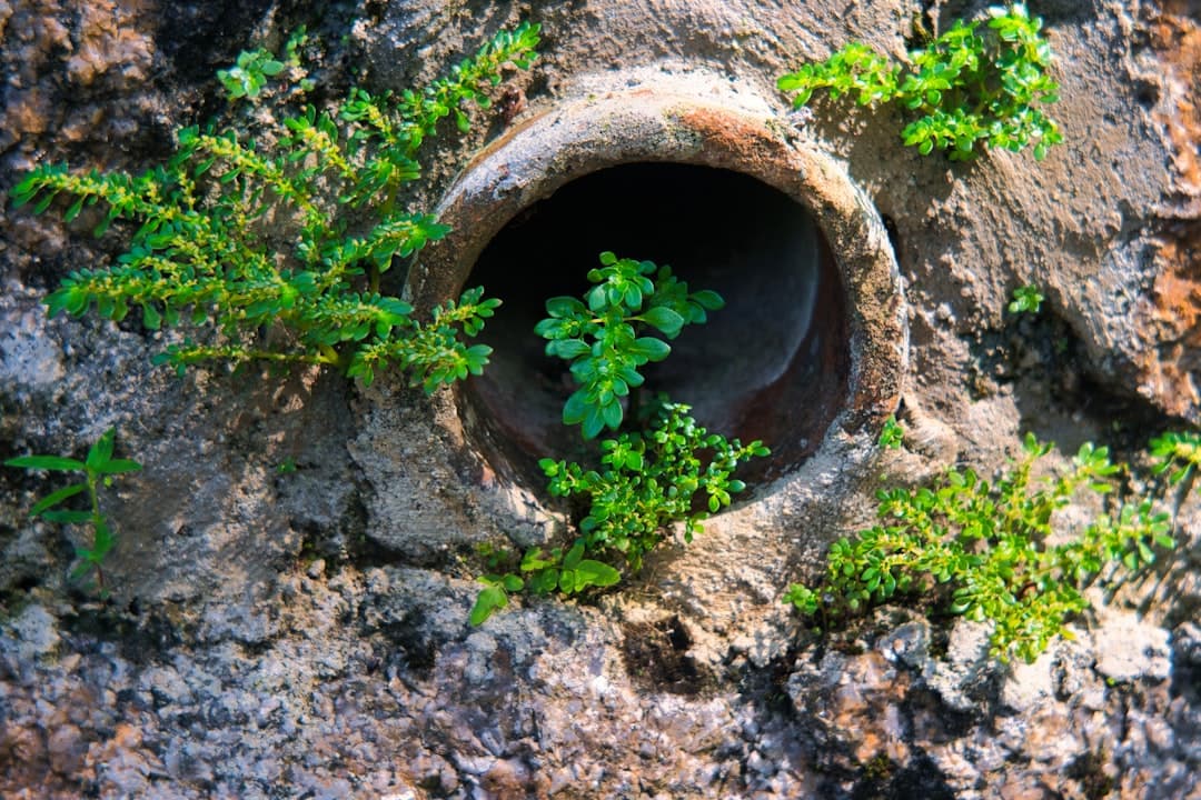 How drainage holes really matter