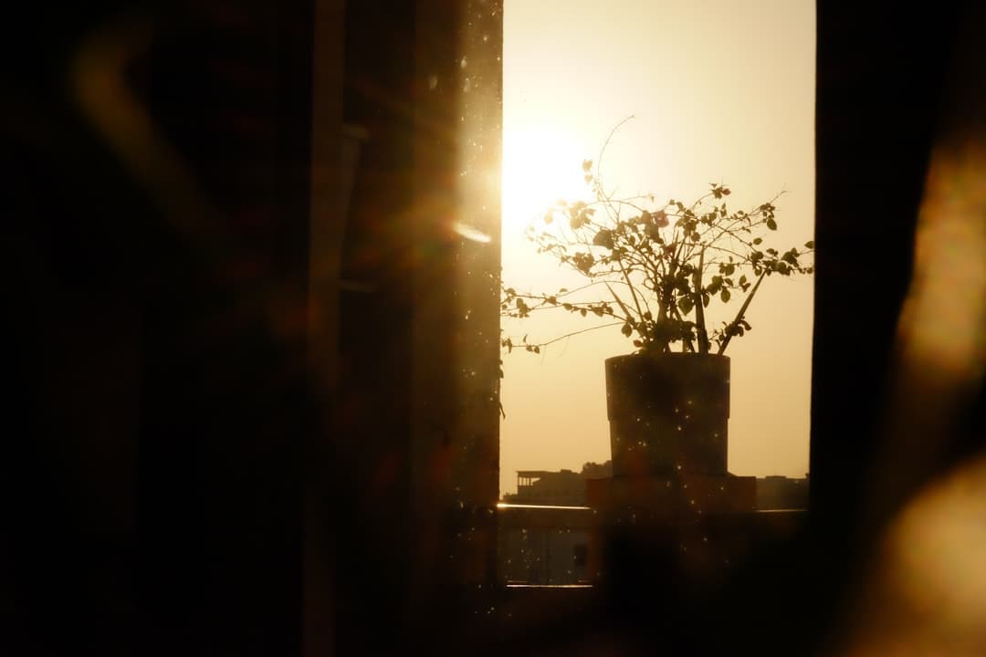 Why afternoon sun is harsher than morning sun