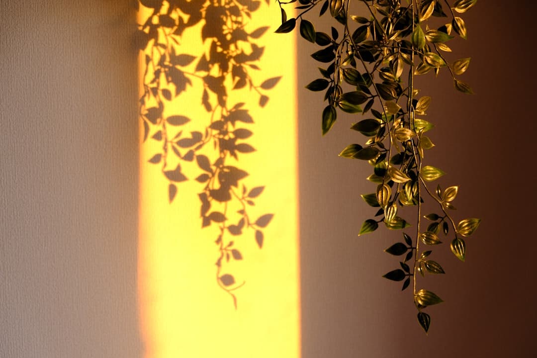 How artificial light compares to sunlight