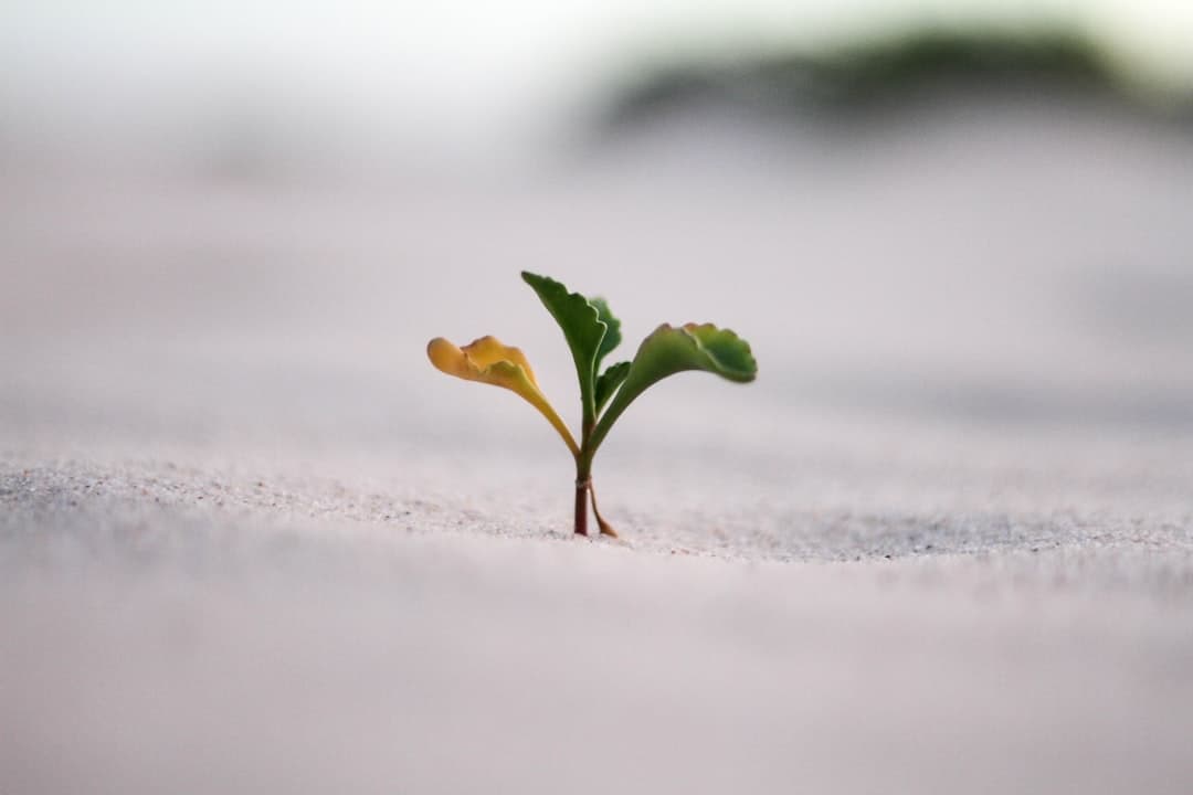 Why new growth matters more than old leaves