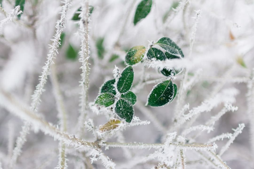 Why growth slows in winter