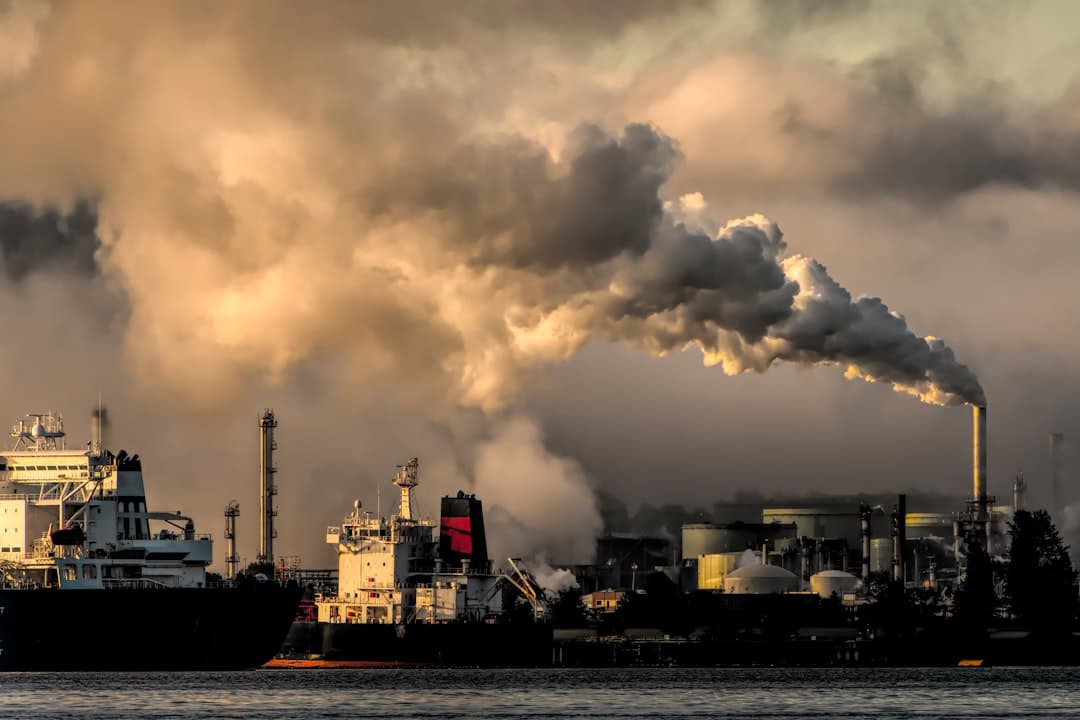 How air pollution affects balcony plants