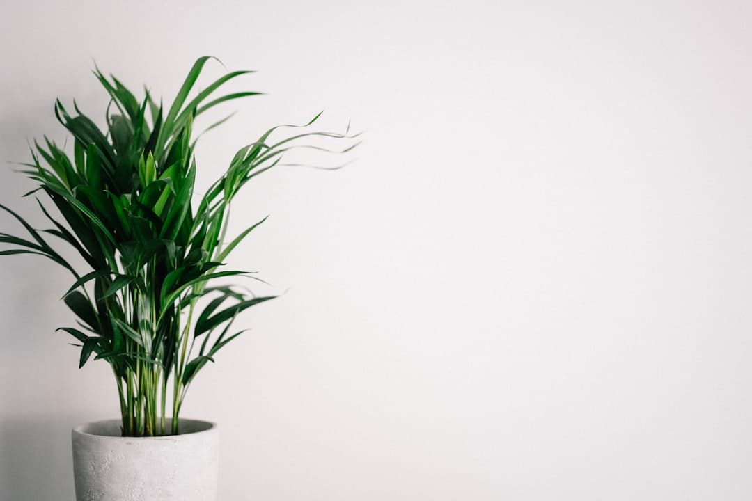 Why airflow matters indoors