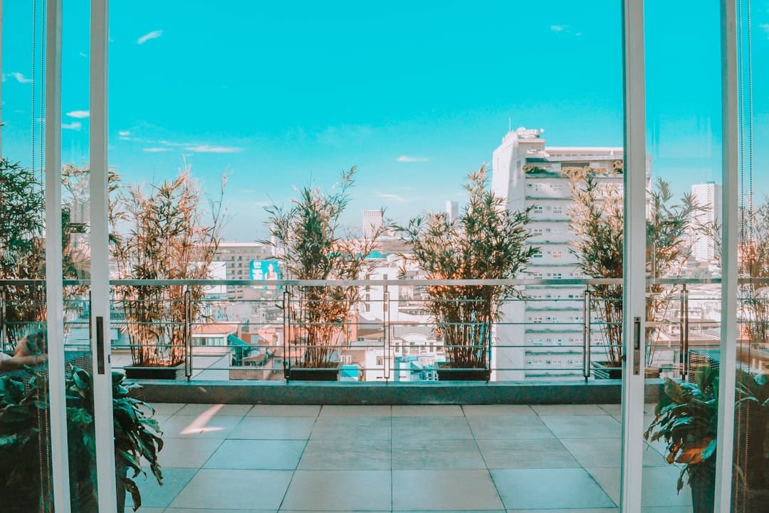 Why balcony plants die in Indian apartments