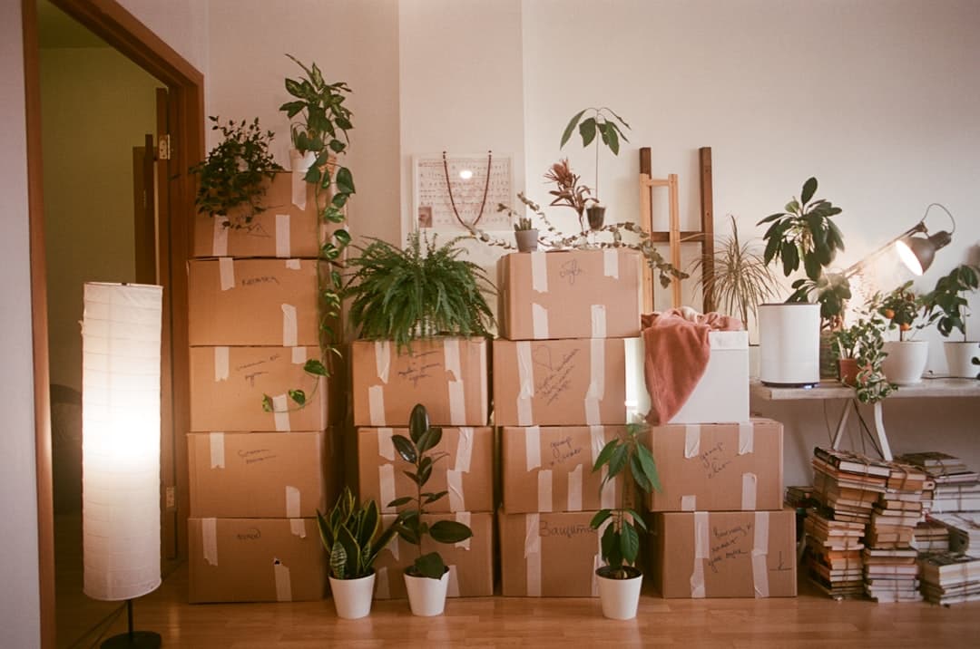 How moving plants affects them