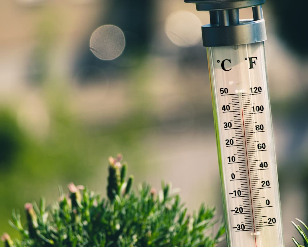 How temperature affects plant growth
